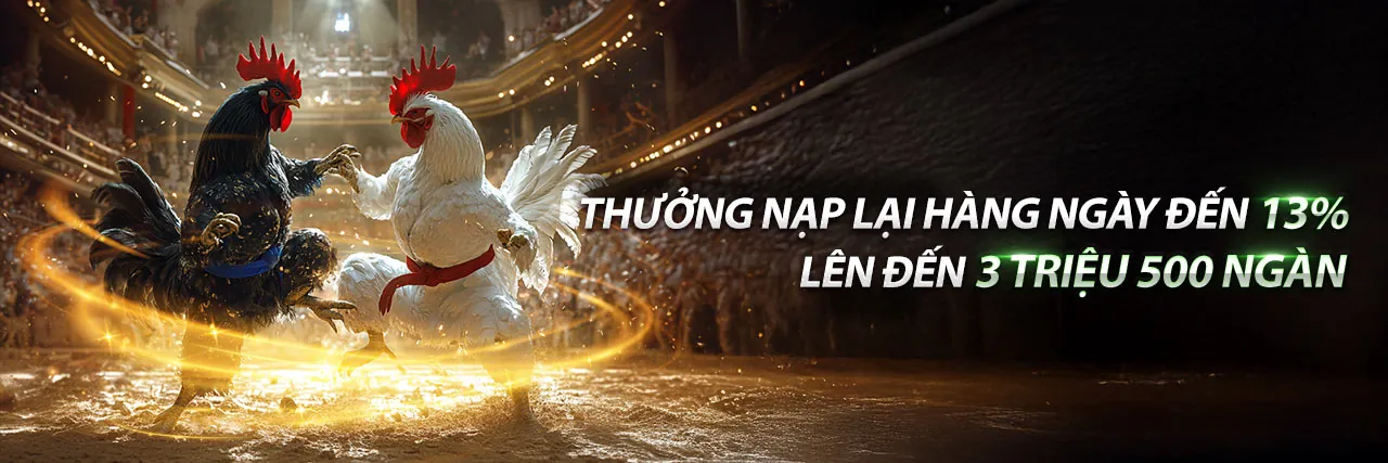 Đá gà trực tuyến kịch tính trên ứng dụng 566bet