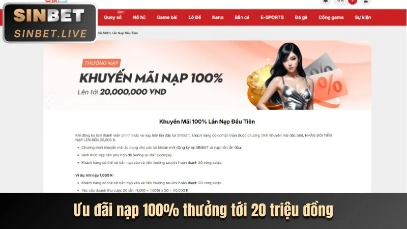 Giao diện quản lý cài đặt cookie trên trình duyệt